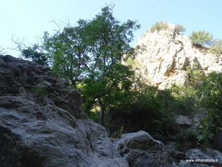 stoleone-09-08-2020 09